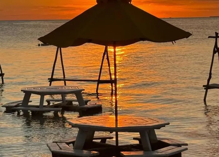 Cozy Secret Getaway W Pool Iguana Casita Apartamento San Pedro (Ambergris Caye)